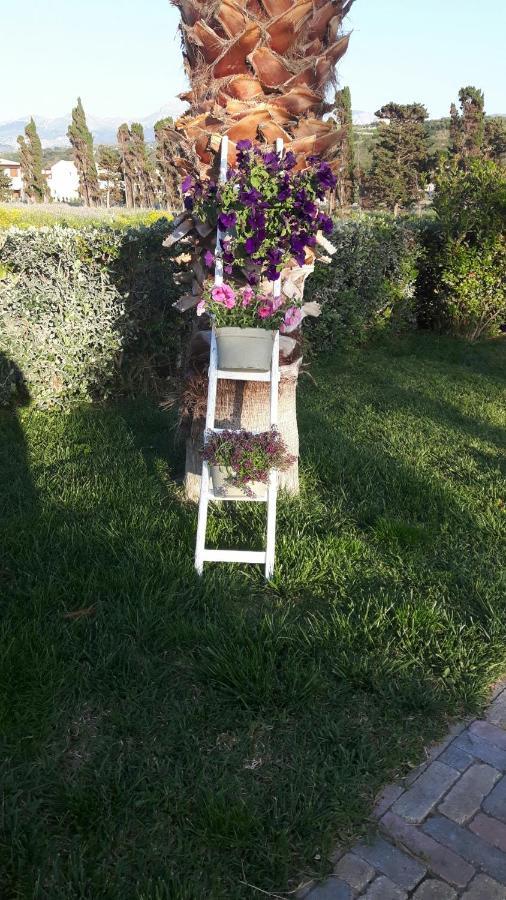 Bed and Breakfast Beb Oasi Marina Campofelice Di Roccella Zewnętrze zdjęcie