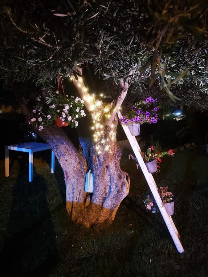 Bed and Breakfast Beb Oasi Marina Campofelice Di Roccella Zewnętrze zdjęcie